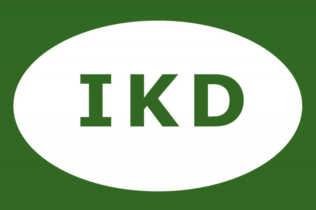 Detectives Algemesí